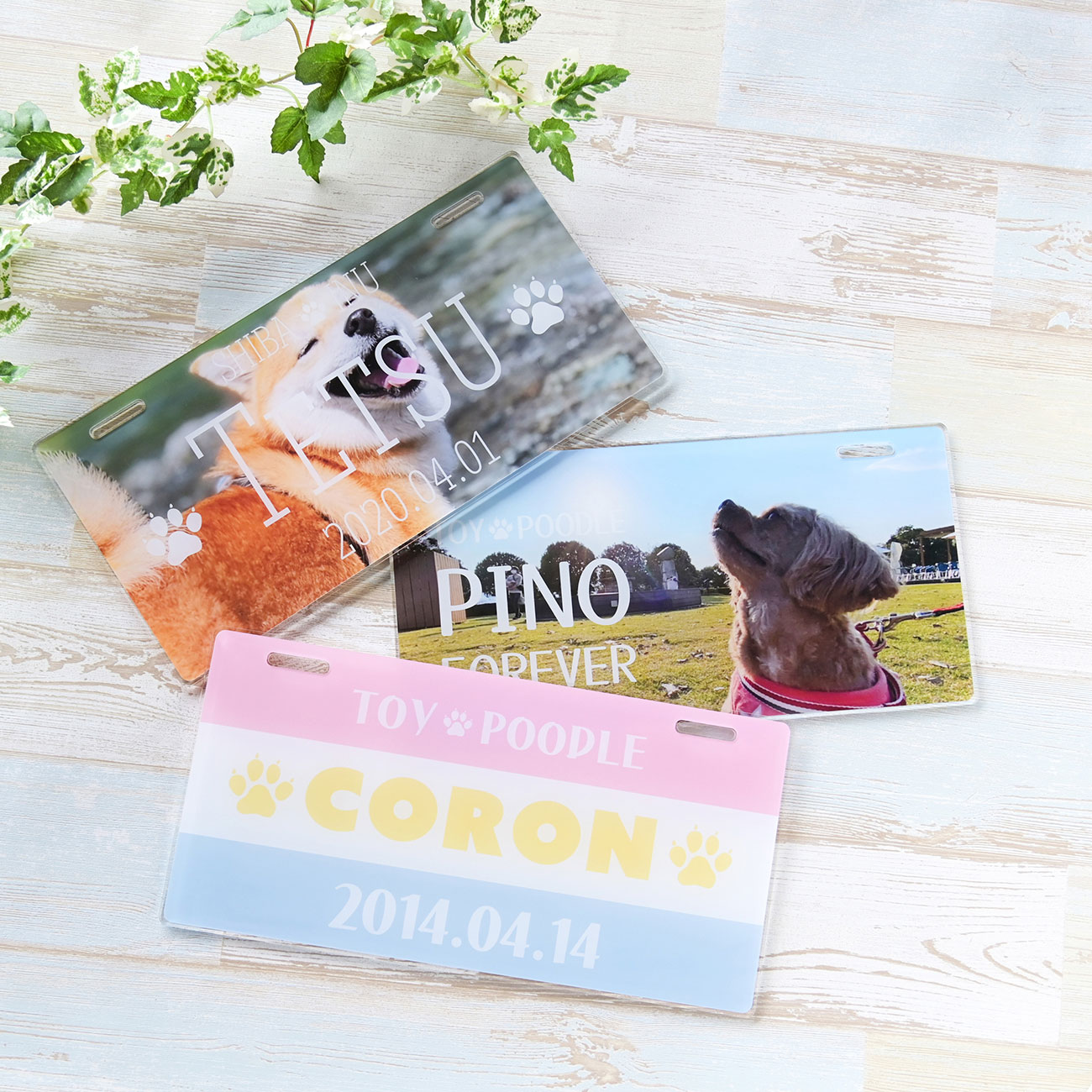 印刷以外の仕事